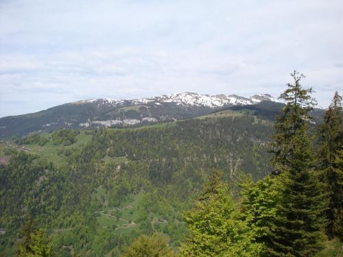 amicale sortie-interlaken-21 14