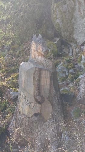 amicale sortie bisse 2023 14