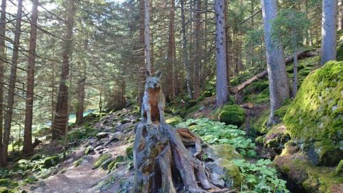 amicale sortie bisse 2023 43