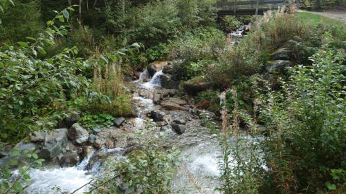 Sortie Bisse 2023