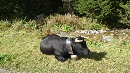 amicale sortie bisse 2023 49