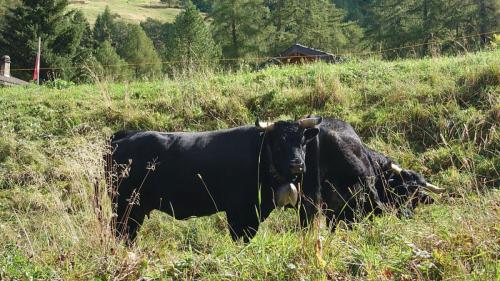 amicale sortie bisse 2023 50