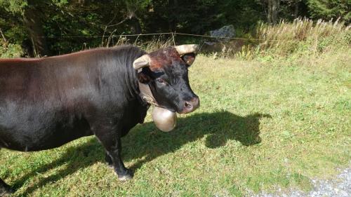 amicale sortie bisse 2023 52