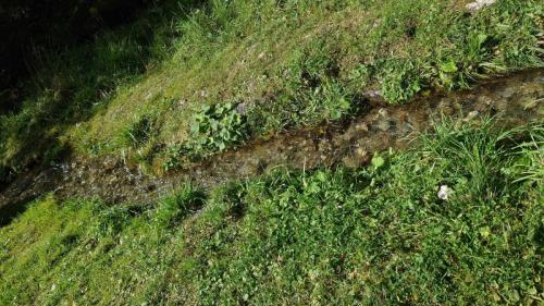 amicale sortie bisse 2023 54