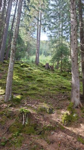 amicale sortie bisse 2023 75